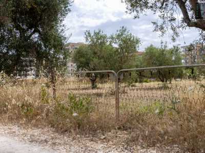 Riprendiamo il percorso tra alberi di fico, uliveti e reti di materassi usate a m� di cancelli
